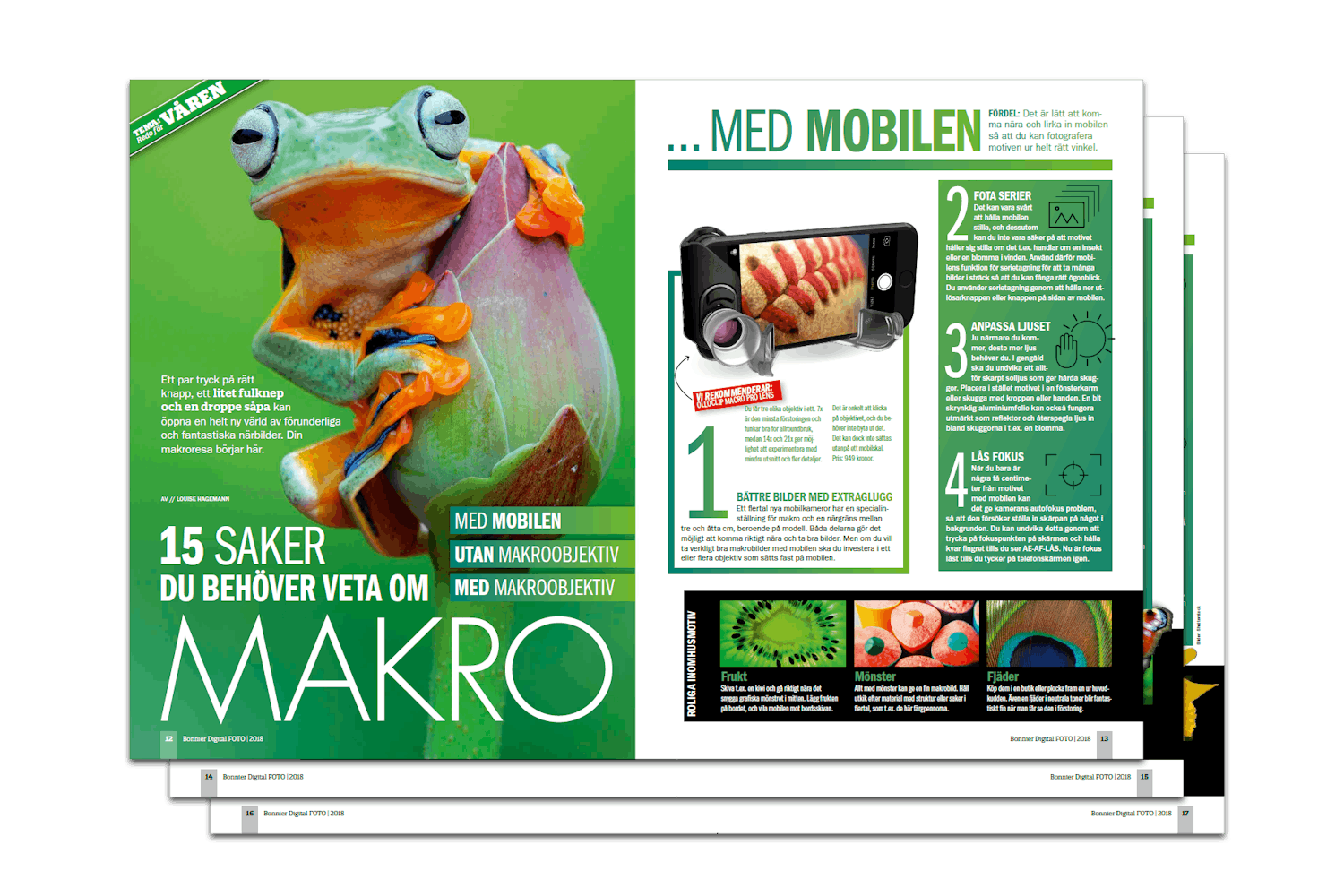 15 saker du behöver veta om makro